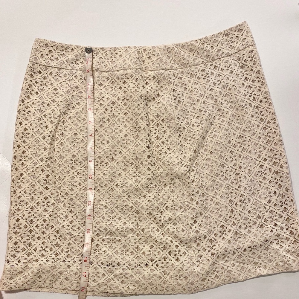 Ann Taylor LOFT skirt. Size 10